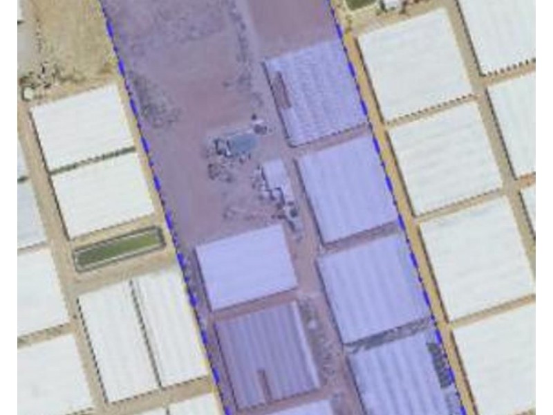 211 CARMELO ROAD, Buckland Park SA 5120