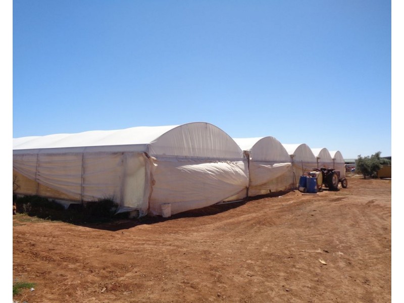 211 CARMELO ROAD, Buckland Park SA 5120