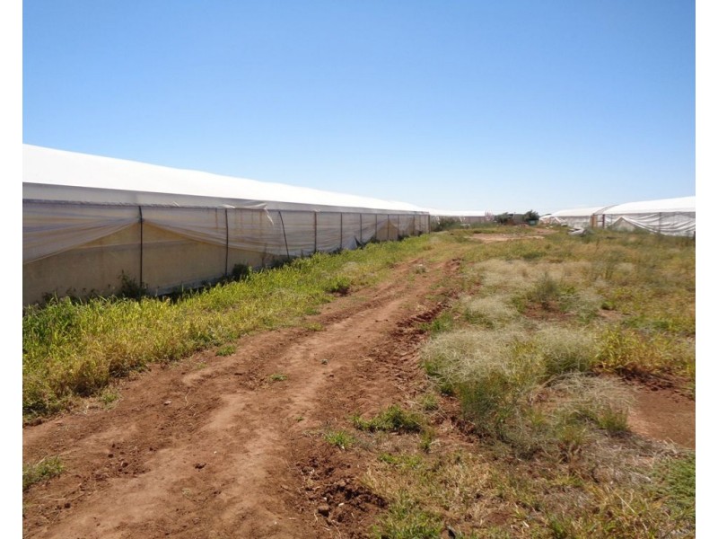 211 CARMELO ROAD, Buckland Park SA 5120