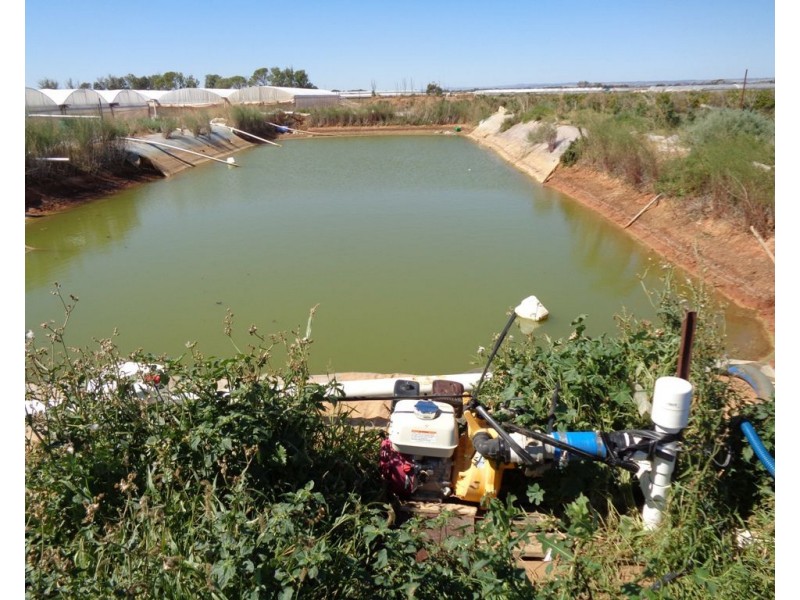 211 CARMELO ROAD, Buckland Park SA 5120