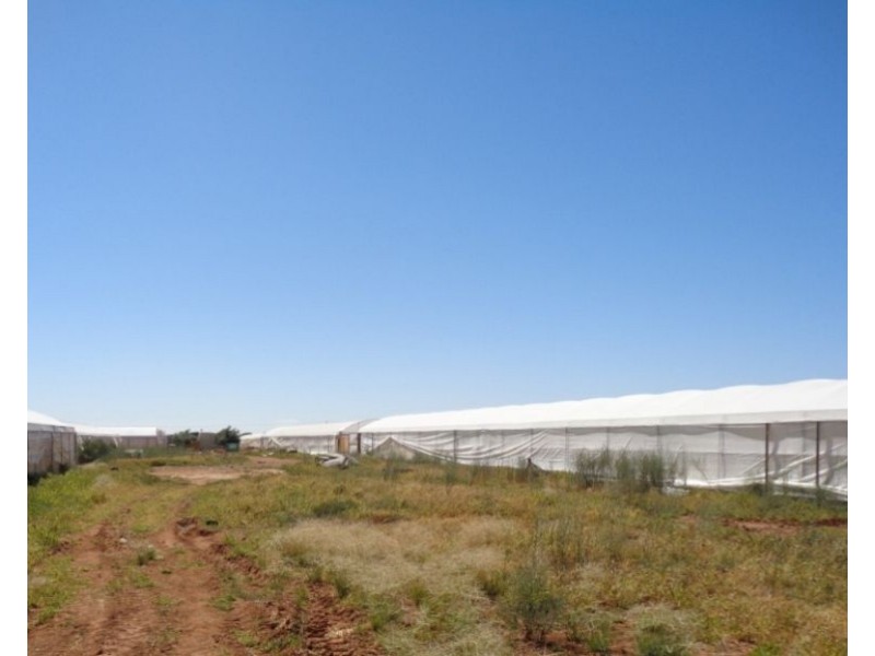 211 CARMELO ROAD, Buckland Park SA 5120