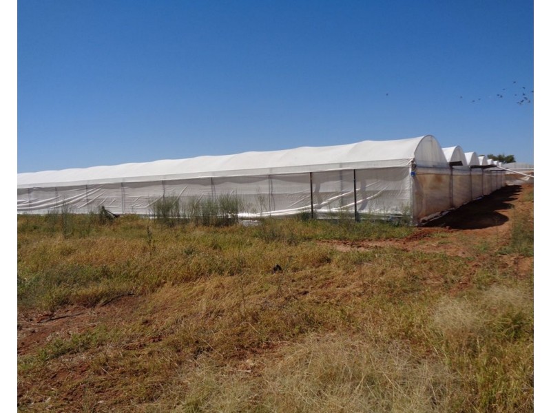 211 CARMELO ROAD, Buckland Park SA 5120