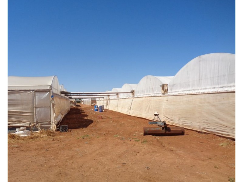 211 CARMELO ROAD, Buckland Park SA 5120