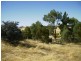 1 Gomersal Road, Tanunda SA 5352