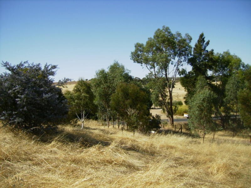 1 Gomersal Road, Tanunda SA 5352