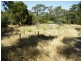 1 Gomersal Road, Tanunda SA 5352