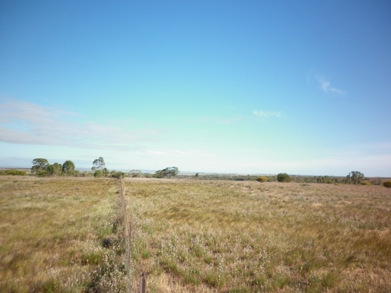 Lot 1 Myall Ave, Mannum SA 5238
