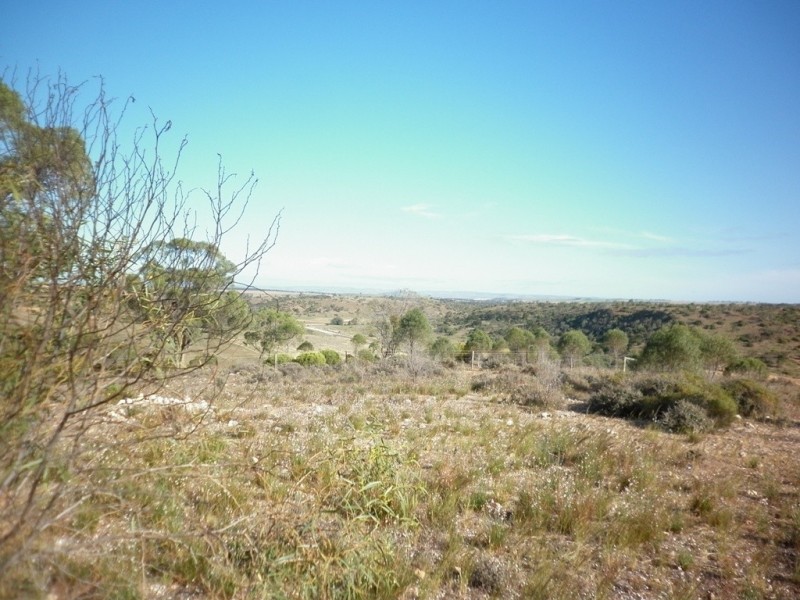 Lot 1 Myall Ave, Mannum SA 5238