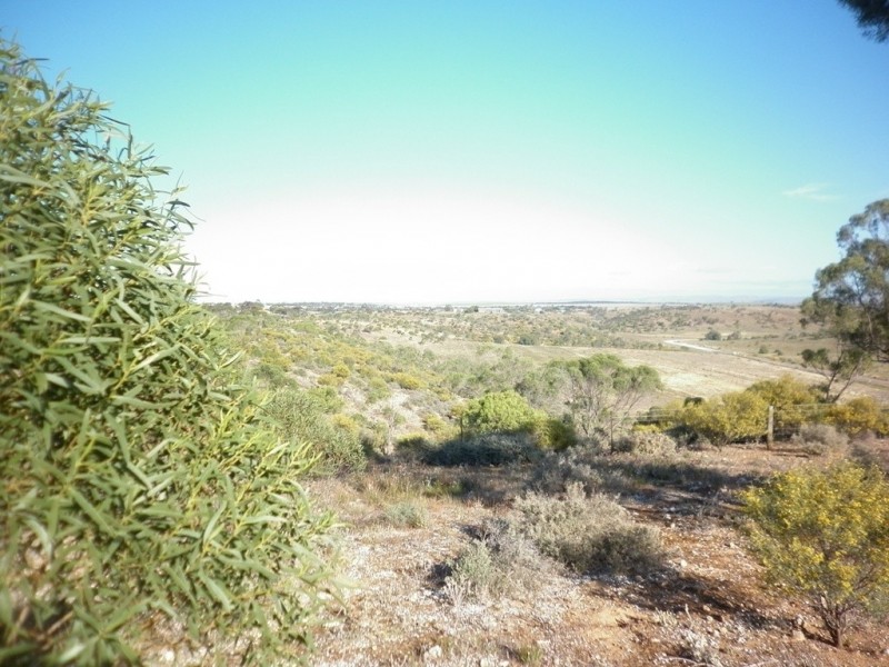 Lot 1 Myall Ave, Mannum SA 5238