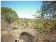 Lot 1 Myall Ave, Mannum SA 5238