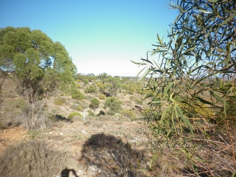 Lot 1 Myall Ave, Mannum SA 5238