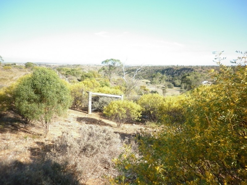 Lot 1 Myall Ave, Mannum SA 5238