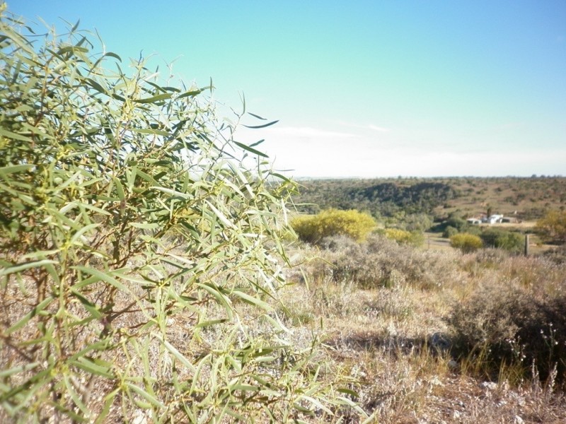 Lot 1 Myall Ave, Mannum SA 5238