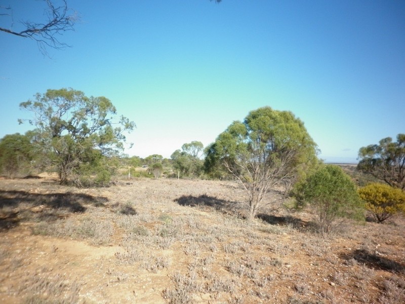Lot 1 Myall Ave, Mannum SA 5238