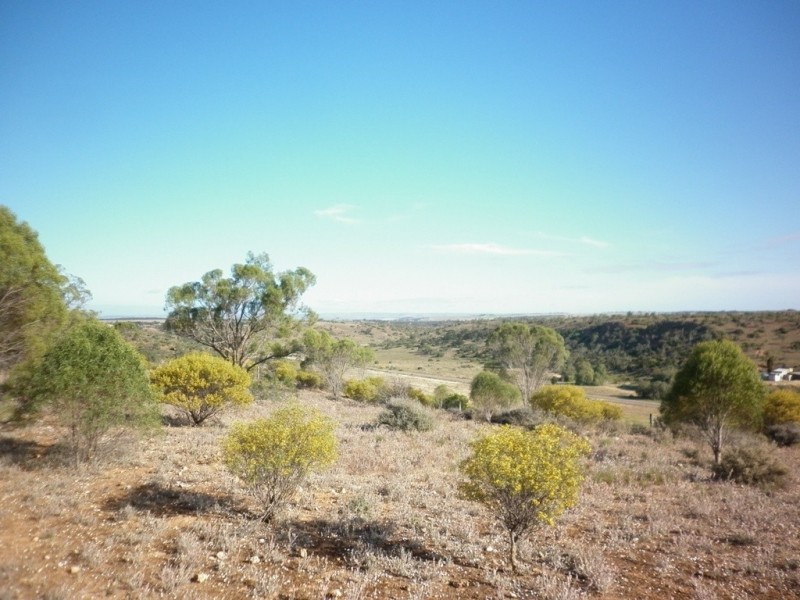 Lot 1 Myall Ave, Mannum SA 5238