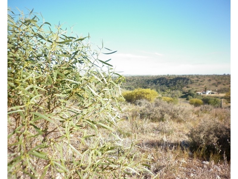 Lot 16 1 MYALL AVE, Mannum SA 5238