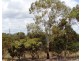 Lot 2, 102 PARKERS ROAD, Gawler Belt SA 5118