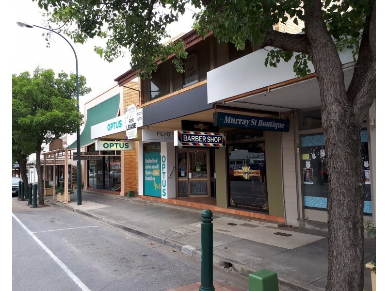 33 Murray Street, Nuriootpa SA 5355