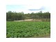 Apple Tree Creek QLD 4660