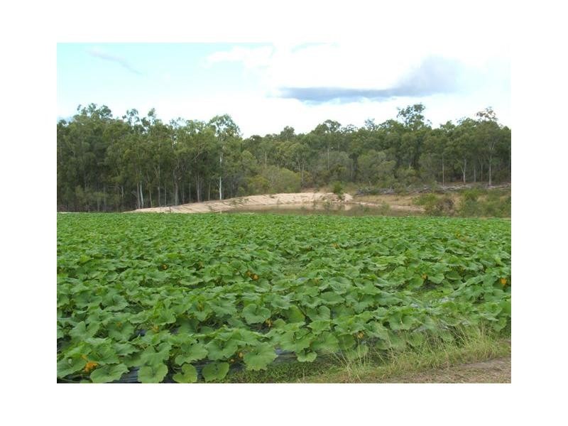 Apple Tree Creek QLD 4660