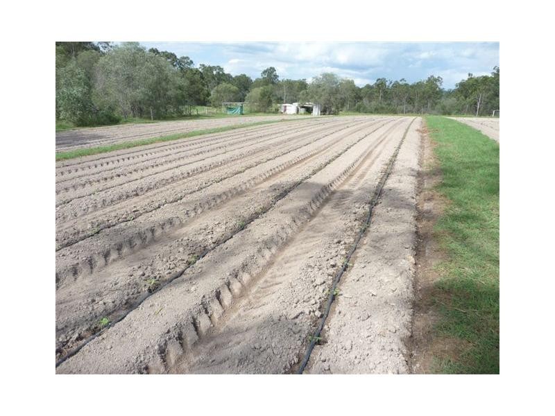 Apple Tree Creek QLD 4660