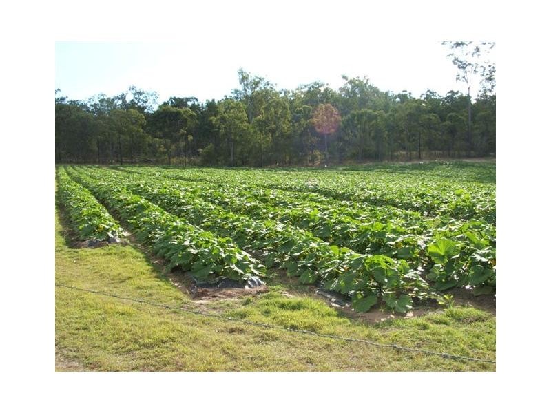 Apple Tree Creek QLD 4660