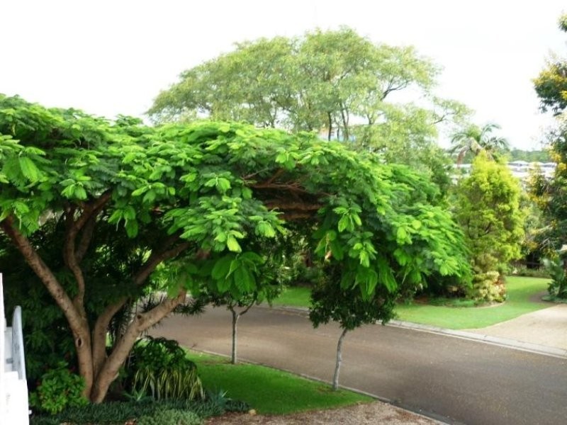 15 Banwell Crescent, Carindale QLD 4152