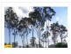 Victoria Point QLD 4165