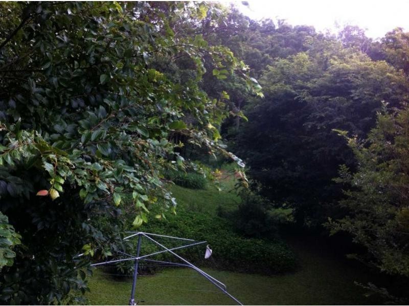 40 Beeston Street, Teneriffe QLD 4005