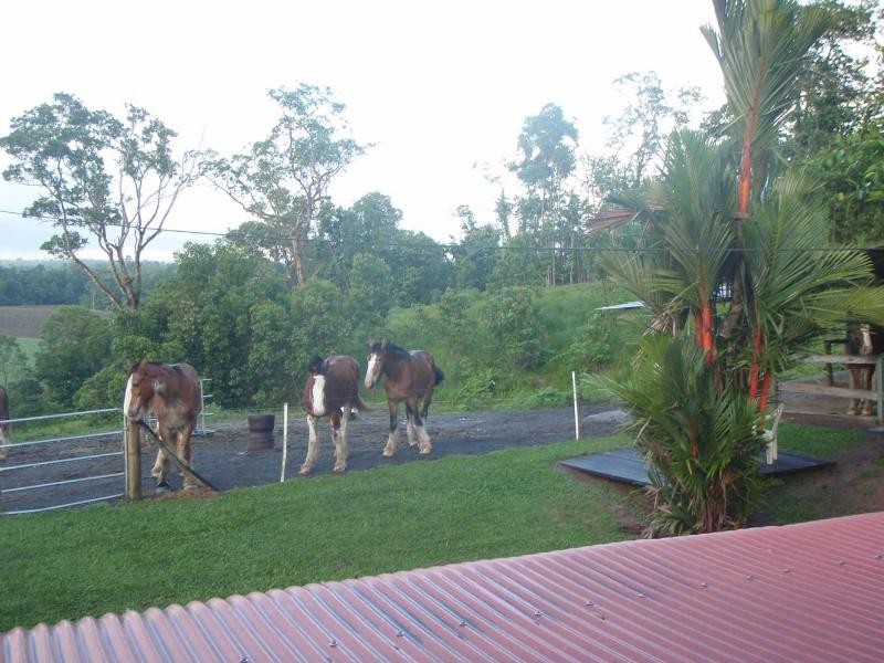 Tully QLD 4854