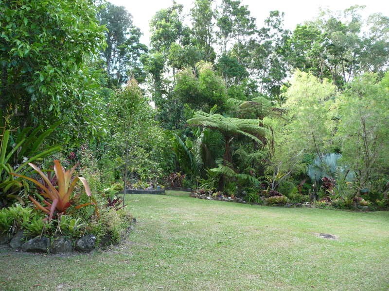 Tully QLD 4854
