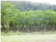 Murray Upper QLD 4854