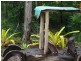 Cardwell QLD 4849