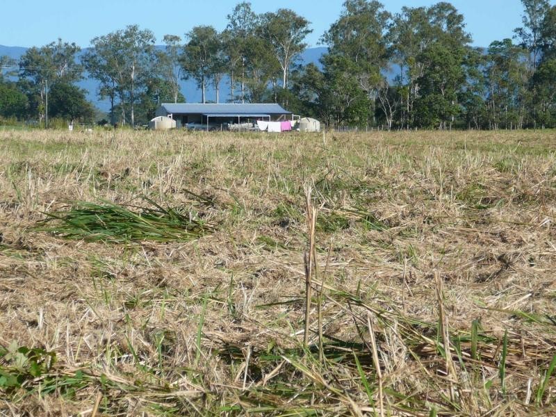 Murray Upper QLD 4854