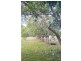Kennedy QLD 4816