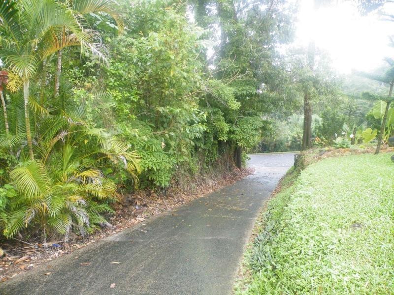 Tully QLD 4854