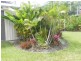 El Arish QLD 4855