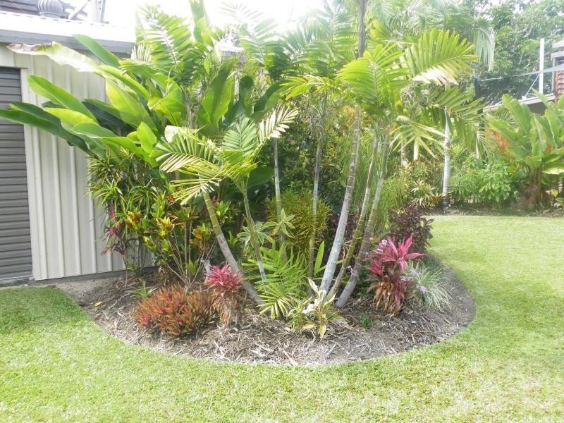 El Arish QLD 4855
