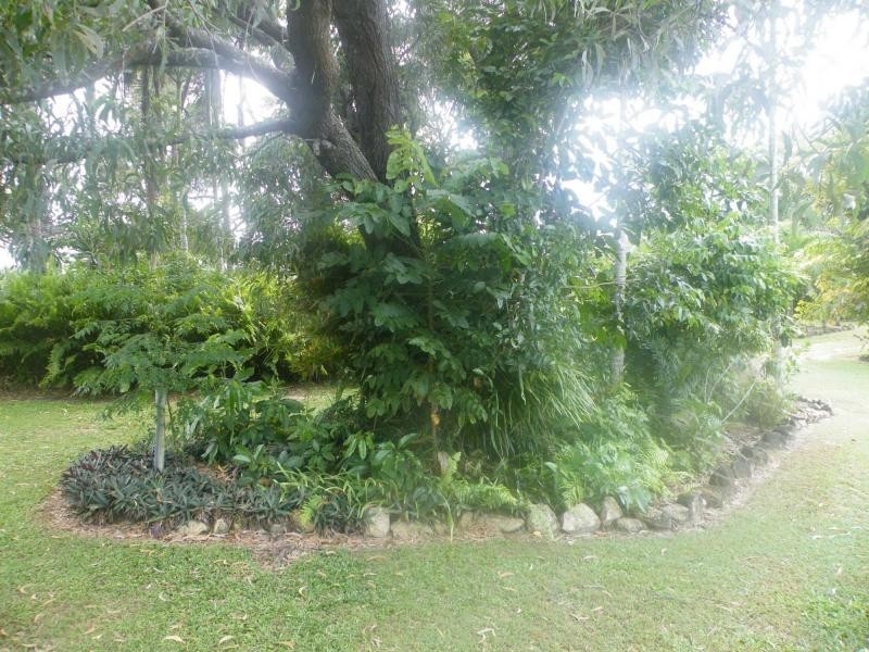 Tully Heads QLD 4854