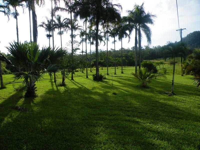 Dingo Pocket QLD 4854