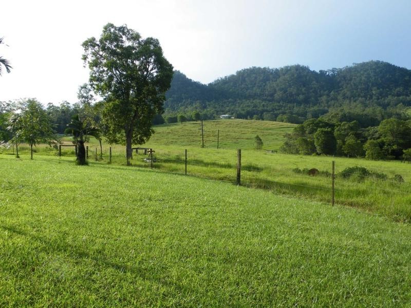 Dingo Pocket QLD 4854