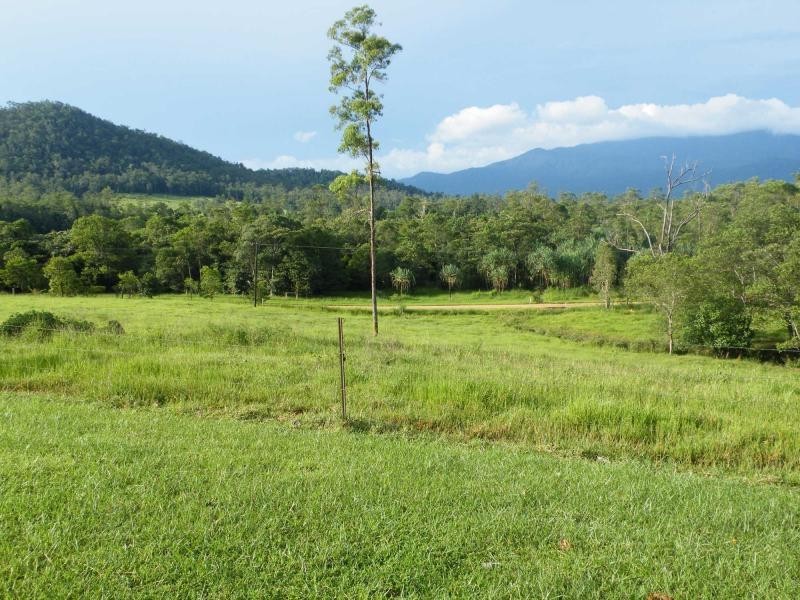 Dingo Pocket QLD 4854