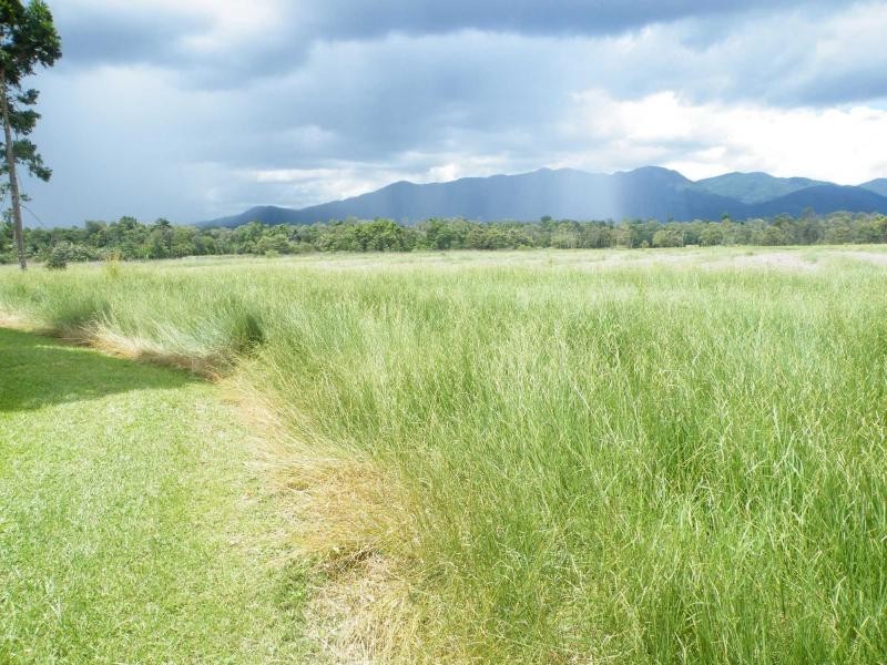 Tully QLD 4854