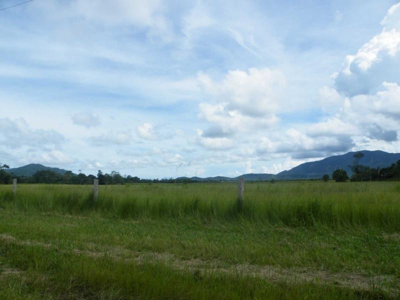 Feluga QLD 4854