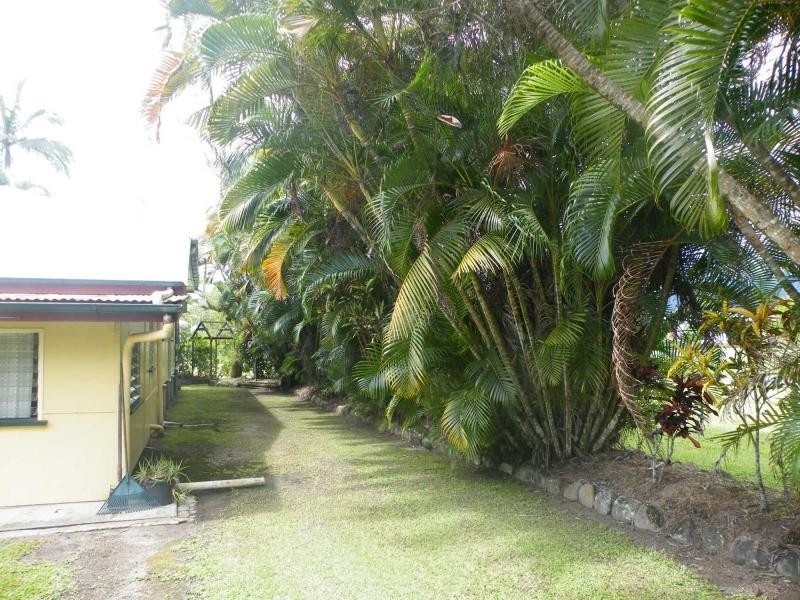 El Arish QLD 4855