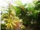 El Arish QLD 4855