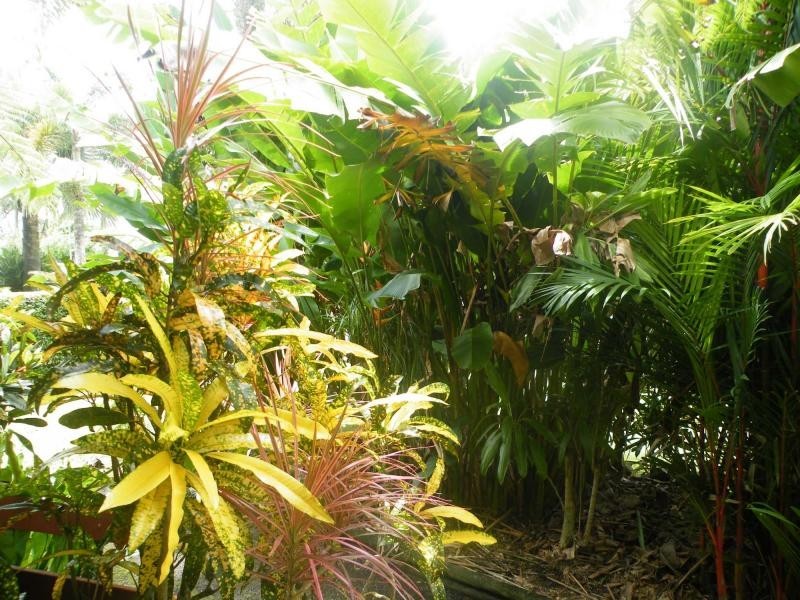 El Arish QLD 4855