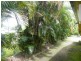El Arish QLD 4855