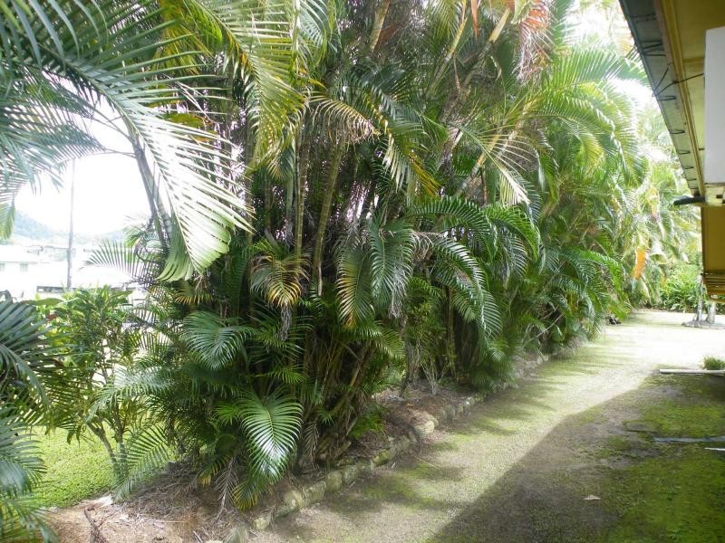 El Arish QLD 4855