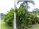 El Arish QLD 4855